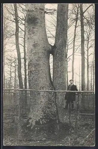 AK Averbode, Het Huwelijk