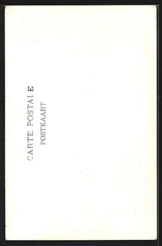 AK Anvers, Le Château d`eau