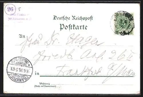 Lithographie Hamburg, Allgemeine Gartenbau-Ausstellung, Gelände aus der Vogelschau