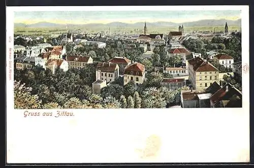 AK Zittau, Blick über die Dächer