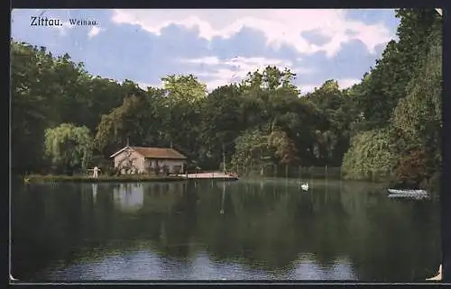 AK Zittau, Teich im Weinau-Park