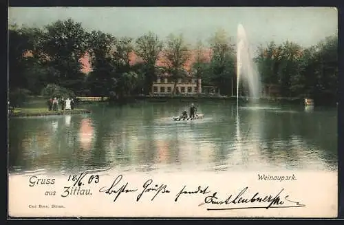 AK Zittau, Weinaupark