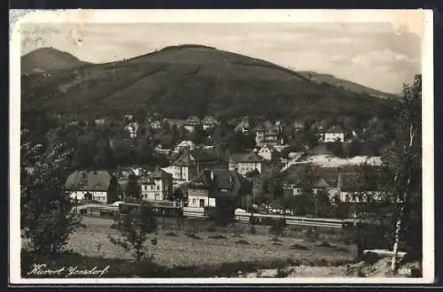 AK Jonsdorf /Zittauer Gebirge, Ortsansicht mit Bahnhof und Lausche