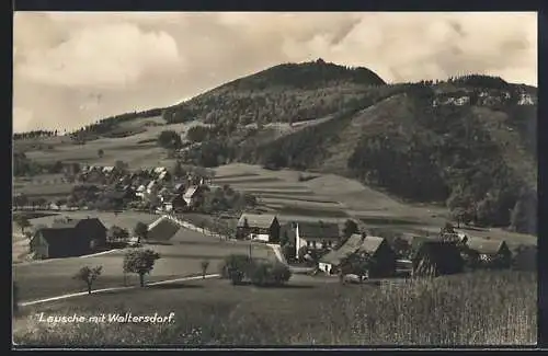 AK Waltersdorf / Sachsen, Strasse zur Ortschaft