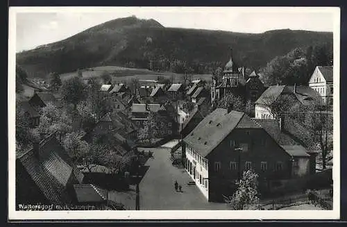 AK Waltersdorf / Sachsen, Ortsansicht mit Lausche