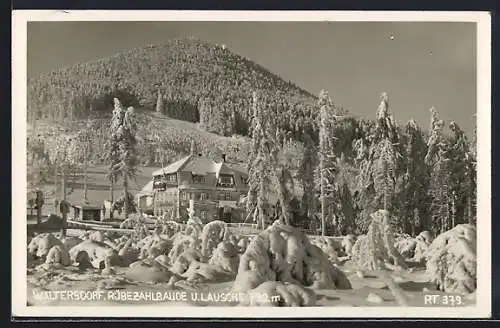 AK Waltersdorf / Sachsen, Rübezahlbaude u. Lausche im Winter
