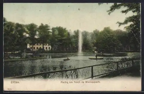 AK Zittau, Partie am Teich im Weinaupark
