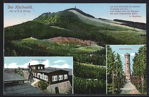 AK Oybin, Hochwald-Baude, Aussichtsturm