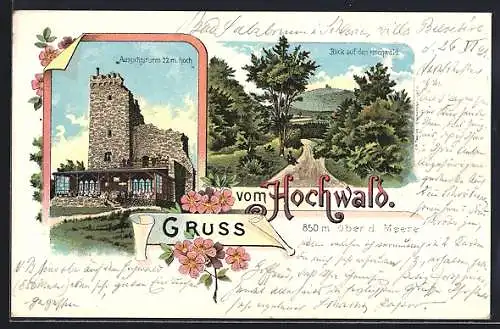 Lithographie Hochwald, Panorama, Aussichtsturm