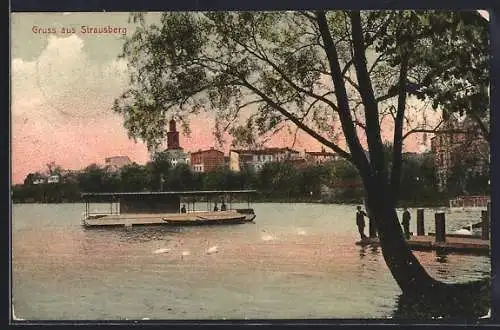 AK Strausberg, Ortsansicht, Schiff, Schwäne
