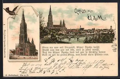 Lithographie Ulm / Donau, Blick auf das Münster, Ortsansicht