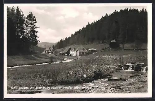 AK Dobel / Neuenbürg, Eyachtal mit Eyachmühle zwischen Wildbad und Herrenalb