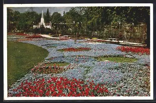 AK Dresden, Reichsgratenschau, Eichwiese mit Blumenplan