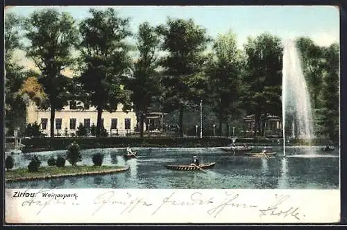 AK Zittau, Weinaupark