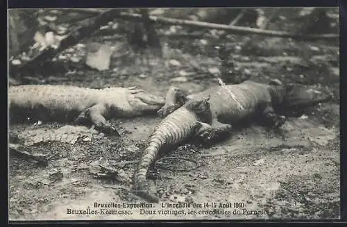 AK Bruxelles, Exposition 1910, L`Incendie, Deux victimes, les crocodiles de Pernelet