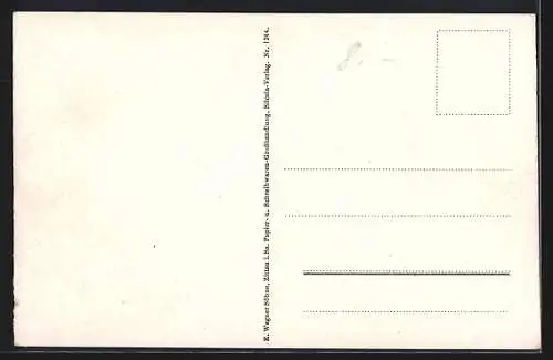 AK Zittau, Blick vom Kummersberg auf die Stadt