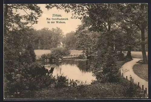 AK Zittau, Am Goldfischteich in der Weinau