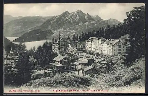 AK Rigi-Kaltbad, Teilansicht mit Hotel