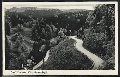 AK Bad Kudowa, Heuscheuerstrasse aus der Vogelschau
