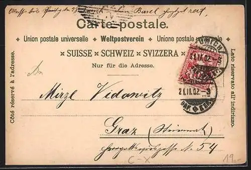 Lithographie Zürich, Palmengarten, Hotel Bahnhof, Propr. U. Angst