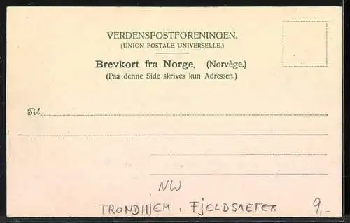AK Trondhjem, Fjeldsaeter