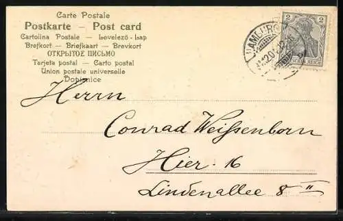 AK Jahreszahl 1905 aus Vergissmeinnicht, Prosit Neujahr!