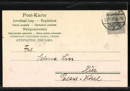 AK Kleeblätter und Blumen, Jahreszahl 1903 in einer Uhr, Neujahrsgruss