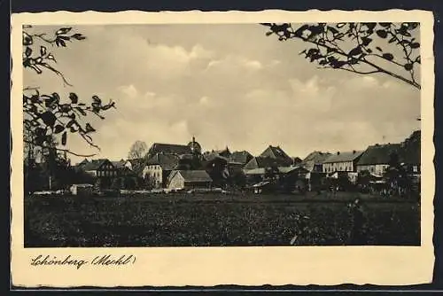 AK Schönberg /Meckl., Feld am Ortsrand
