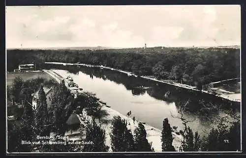 AK Bernburg /Saale, Blick vom Schlossberg auf die Saale