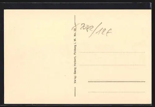 AK Bad Feldberg /Mecklbg., Ortsansicht vom Ziegenberg aus