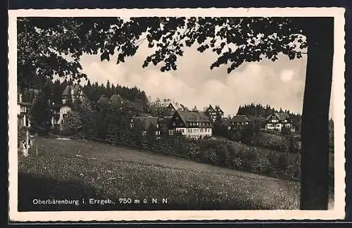 AK Oberbärenburg i. Erzgeb., Ortspartie mit Baum