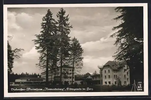 AK Elbingerode im Harz, Diakonissen-Mutterhaus Neuvandsburg