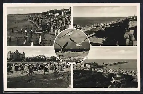 AK Zinnowitz, Ostseebad, Strandpartie, Möwen, Steg