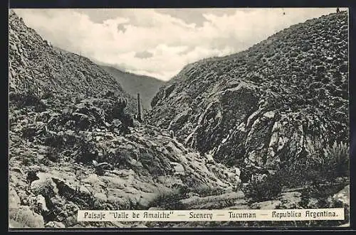 AK Tucuman, Paisaje Valle de Amaiche