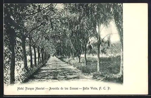AK Bella Vista /F. C. P., Hotel Parque Henriot, Avenida de los Sauces