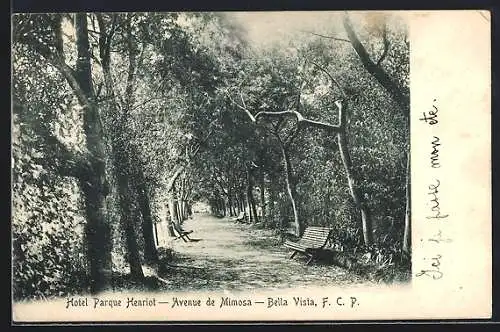 AK Bella Vista /F. C. P., Hotel Parque Henriot, Avenue de Mimosa
