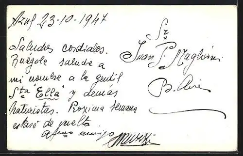 AK Azul, Vista del Parque