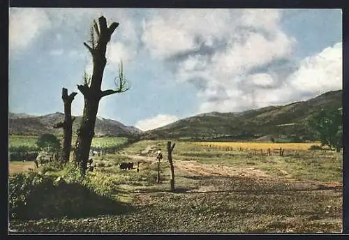AK Valle de San Janvier, Vista desde La Sala, Dto. de Tafi
