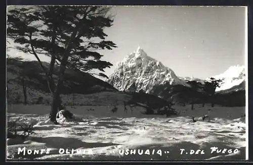 AK Monte Olivia /Tierra del Fuego, Ushuaia