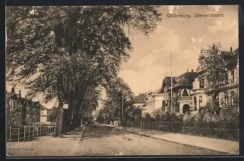 AK Oldenburg / Gr., Ofenerstrasse mit Bäumen