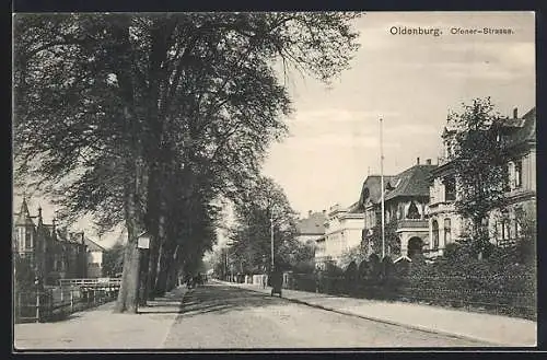 AK Oldenburg i. Gr., Villen in der Ofener-Strasse