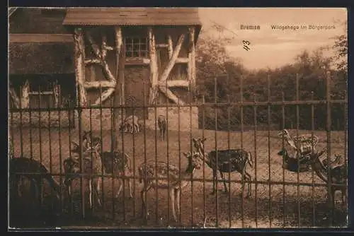 AK Bremen, Wildgehege im Bürgerpark