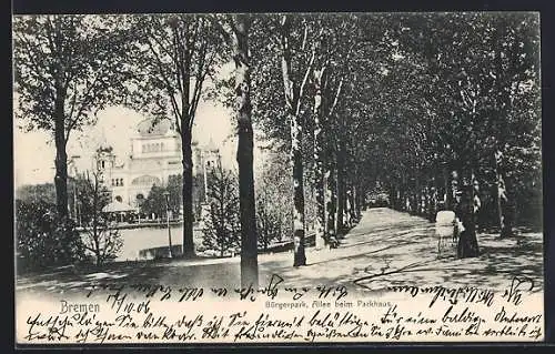AK Bremen, Bürgerpark, Allee beim Parkhaus