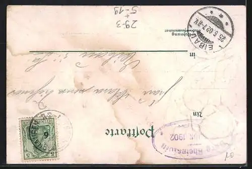 Passepartout-Lithographie Burg Rheinstein, Passepartout mit Rosen