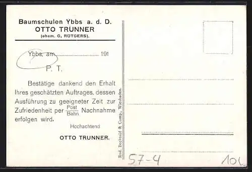 AK Rote Versailler, Johannisbeere