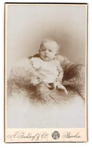 Fotografie A. Jandorf & Co., Berlin, Grosse Frankfurterstr. 113, Porträt eines Babys auf Fell
