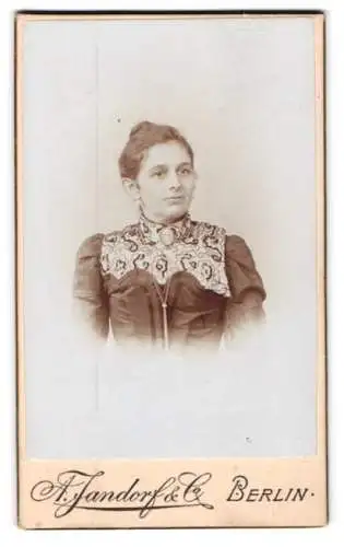 Fotografie A. Jandorf & Co., Berlin, Leipziger Strasse 64, Porträt einer Dame mit verziertem Kragen
