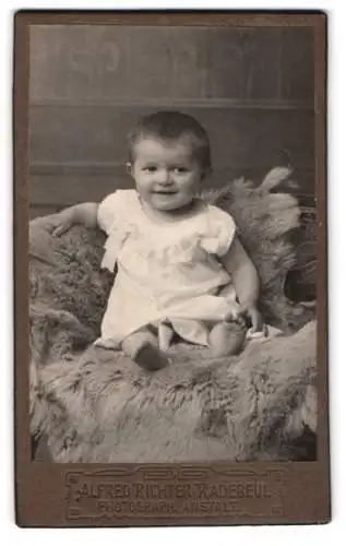 Fotografie Alfred Richter, Radebeul, Kleinkind auf flauschigem Sessel