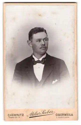 Fotografie Atelier Seeber, Chemnitz, Theaterstr. 22, Porträt eines eleganten Herrn