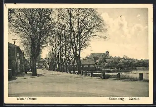 AK Schönberg / Meckl., Kalter Damm